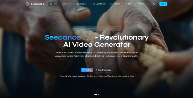 Скриншот Seedance 2.0 Video Generator