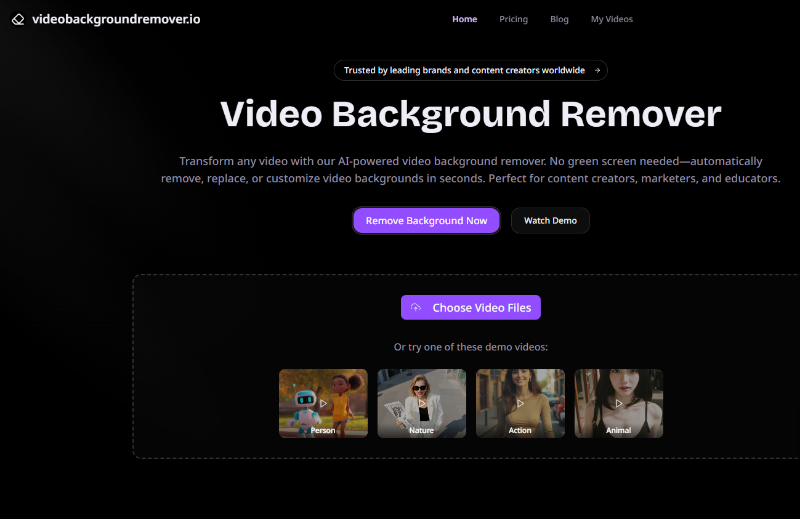 Скриншот Video Background Remover