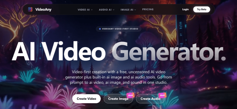 Скриншот VideoAny