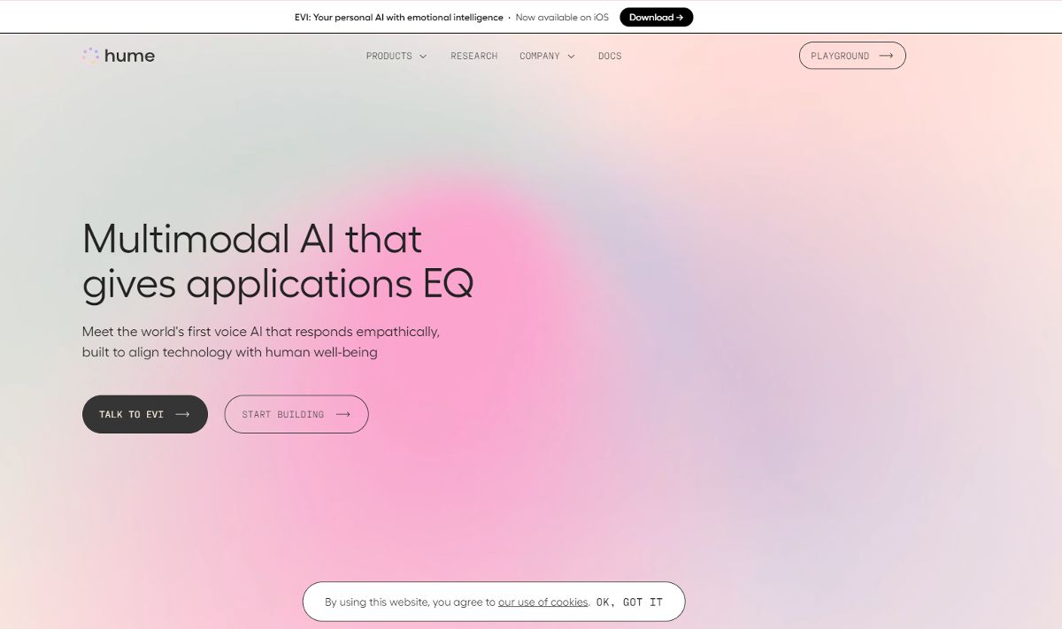 Скриншот Hume AI
