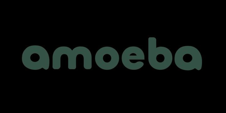 Amoeba