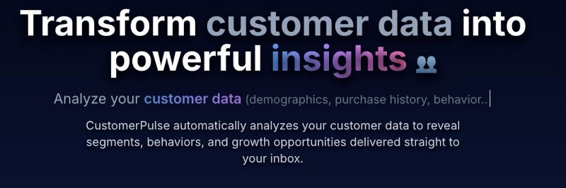 Скриншот CustomerPulse