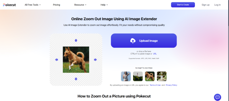Скриншот Online Zoom Out Image