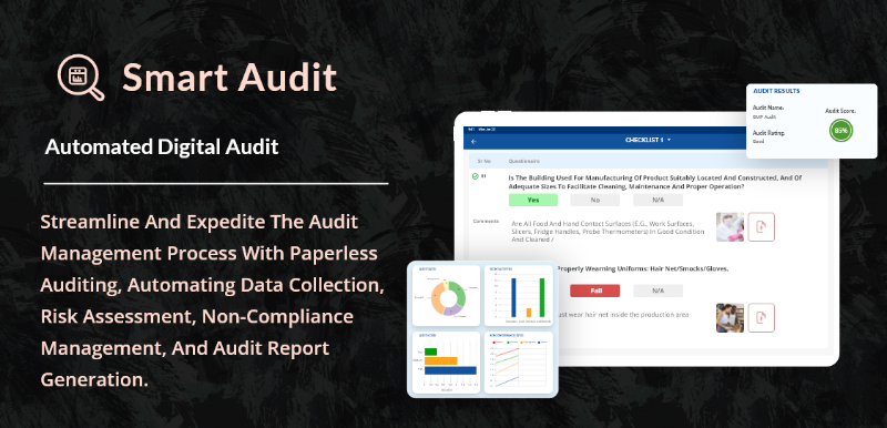 Скриншот Smart Audit