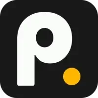 PaidAI