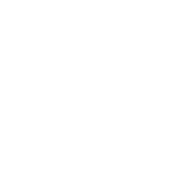 Echo AI