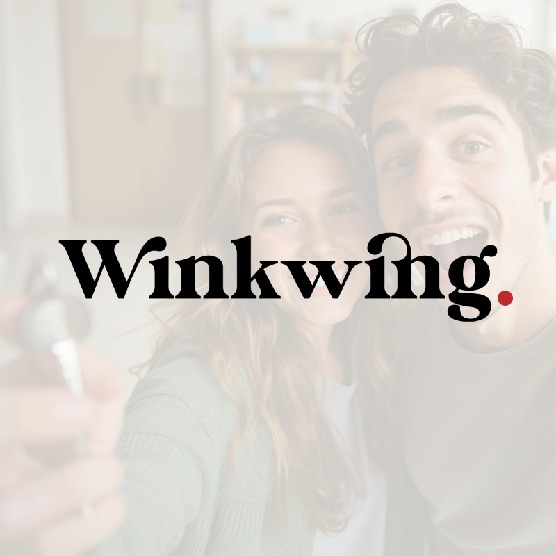 Скриншот Winkwing