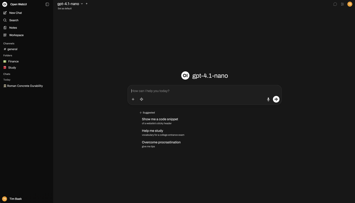 Скриншот Open WebUI
